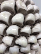 Pigna Ceramica Caltagirone cm H.30 Artigianale Beige Écru DD CERAMICHE SICILIANE