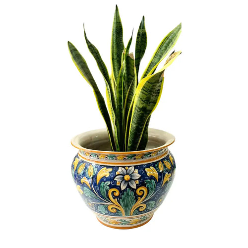 Una vivace pianta di serpente verde e gialla in un ornato vaso in ceramica blu, giallo e verde.